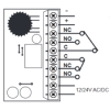 TEMPO 12-24V AC/DC sous gaine thermo 1 contact NO/NC 1-180 sec