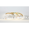 BANDEAU BLC 4000K 5M 120LED ET 10W/M IP20 24V