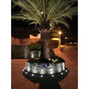 encastre/balisage 3w inox 316l ip67 dc24v 4000°k