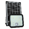 Projecteur solaire 30W détection 4800lm panneau déporté 5M